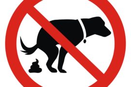 DÉJECTIONS CANINES