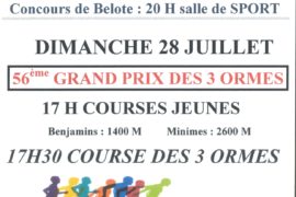 FÊTE DES 3 ORMES