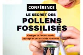 Conférence à Landudec – Le secret des pollens fossilisés