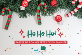 BELLES FÊTES DE FIN D’ANNÉE 🎆 🎄 🎉