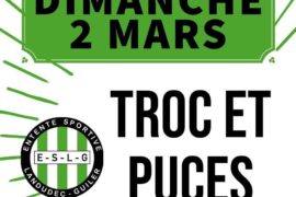 TROC & PUCES A LANDUDEC !