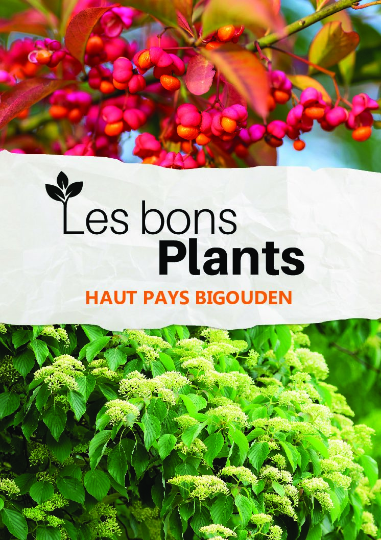 Les bons plants 2025 !